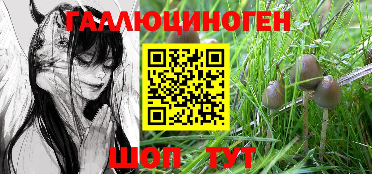 Галлюциногенные грибы Psilocybe  Вход с VPN  Псилоцибиновые грибы ЛСД  Котельники 